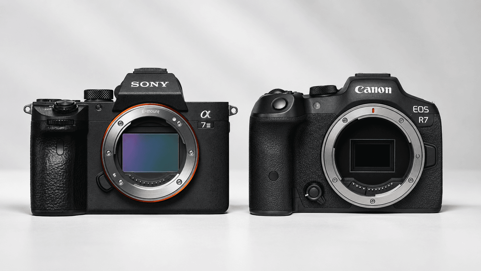 Canon EOS R7 vs. Sony A7III: APS-C or full frame for similar money?