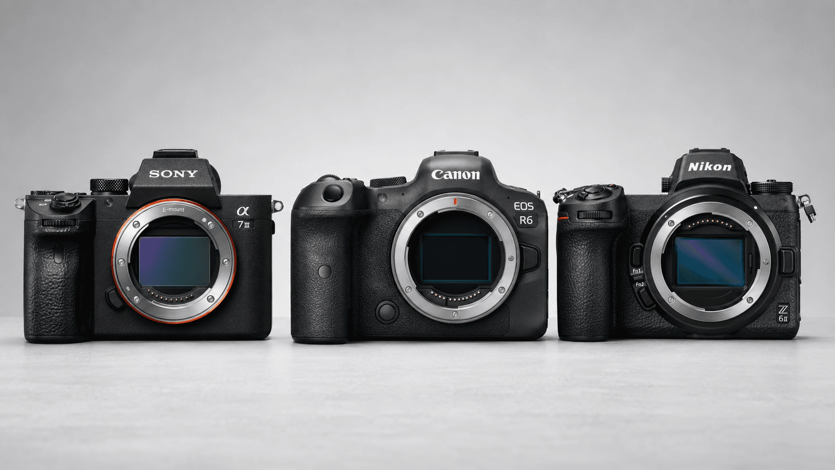 Sony A7III vs. Canon R6 vs. Nikon Z6II compared
