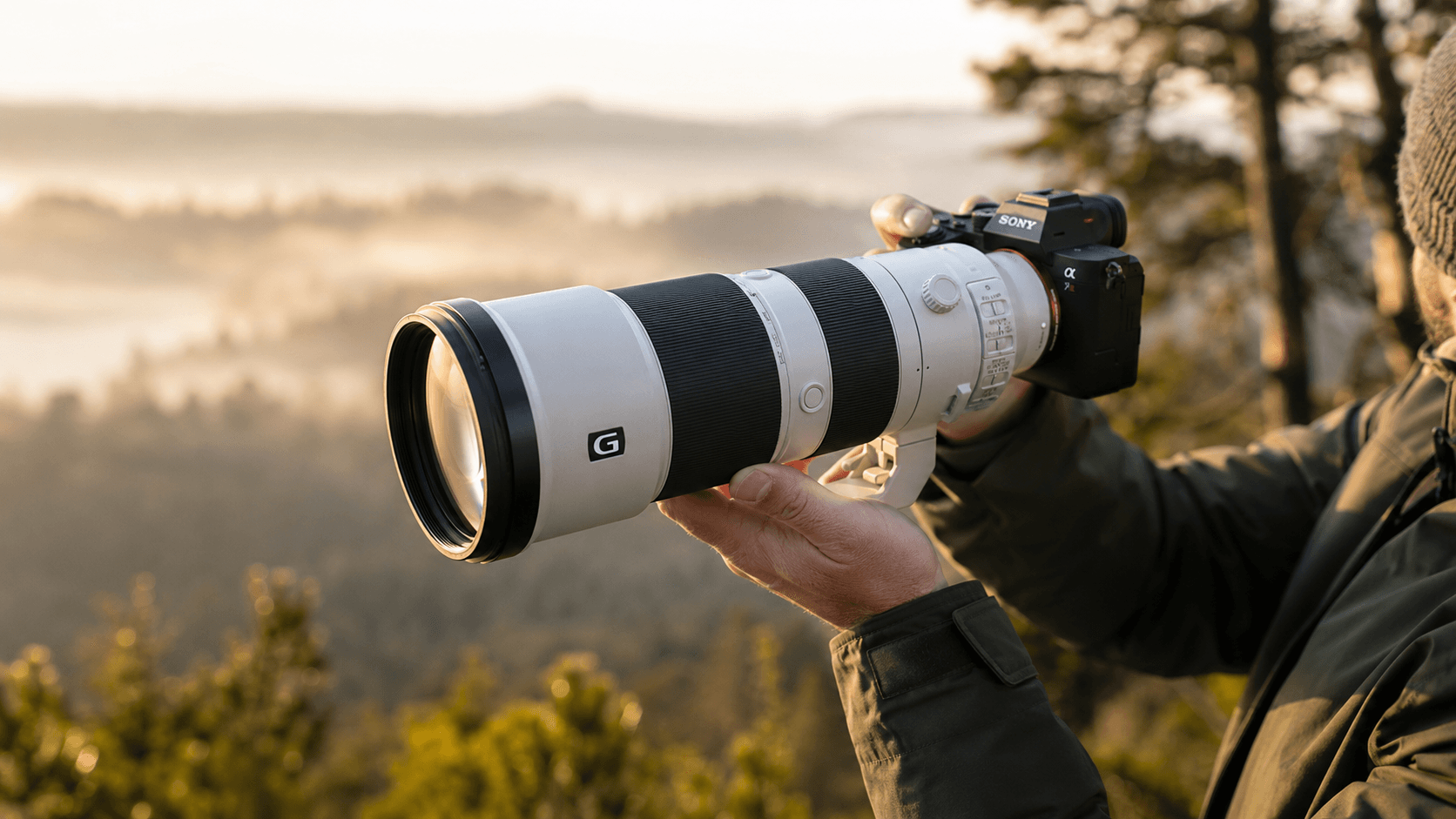 Sony FE 200–600 mm G OSS: an affordable super-telephoto for wildlife photography