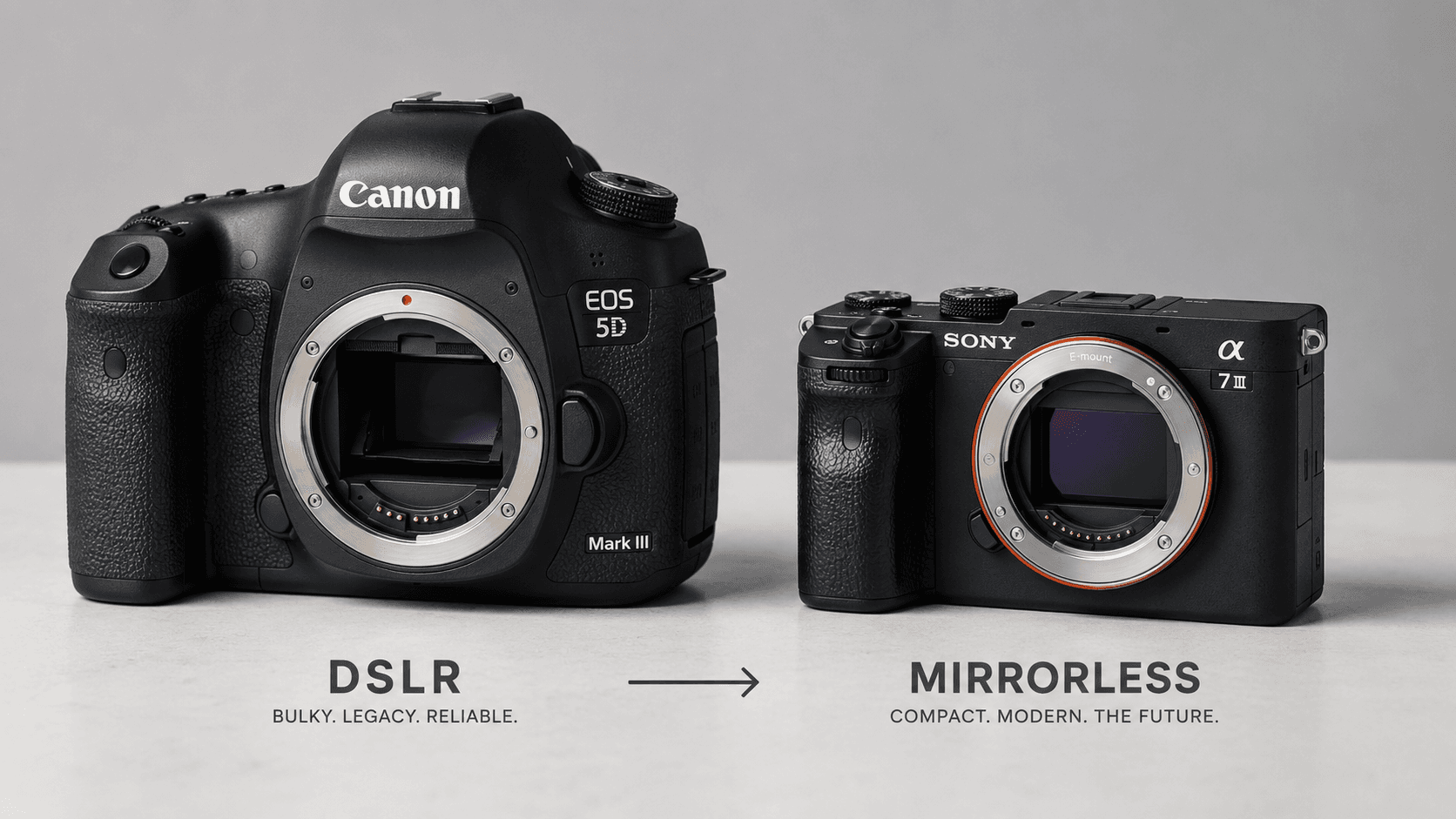 Switching from a DSLR to mirrorless: when and to what