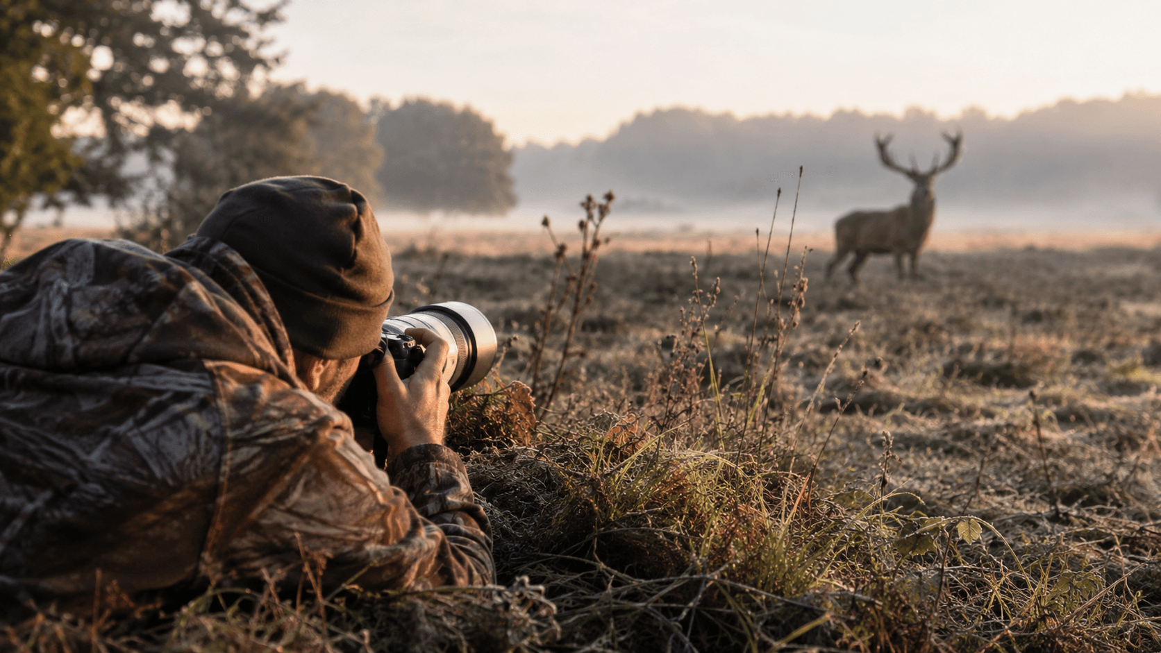 Wildlife and birds: reach and speed for sensible money